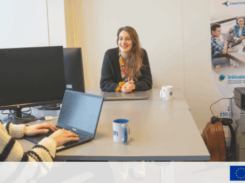 Image pour article FSE LINKLUSION