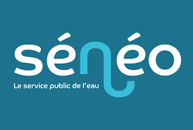 Logo seneo