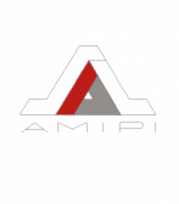 Illustration du profil de AMIPI TOURS