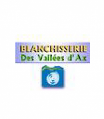 Illustration du profil de BLANCHISSERIE DES VALLEES DAX