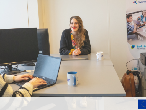 Image pour article FSE LINKLUSION