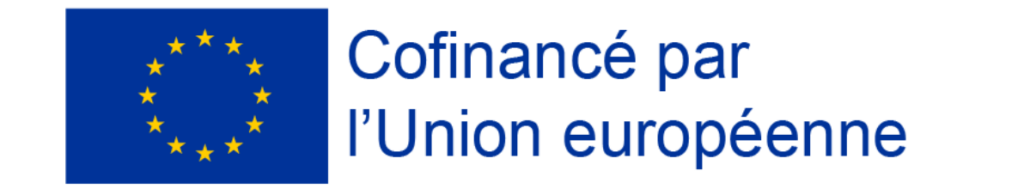 Projet compensation Linklusion et FSE, co-financé par l'Union européenne